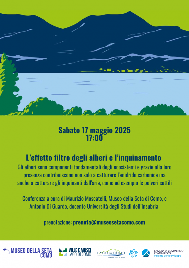 L’effetto filtro degli alberi e l’inquinamento